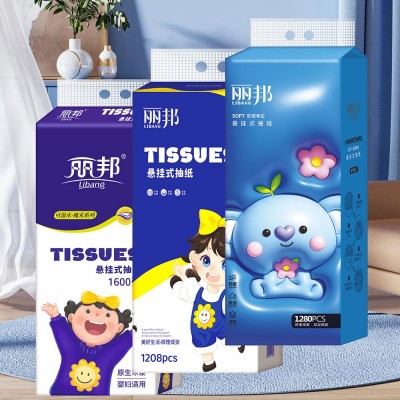 丽邦 卫生纸 悬挂抽纸
