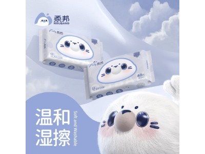 柔邦  湿厕纸