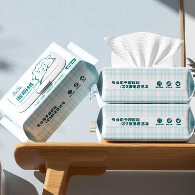 首纯 湿厕纸