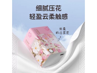 华邦 卫生纸巾