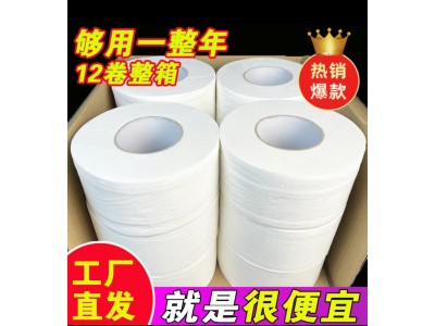 佰泰 卷纸