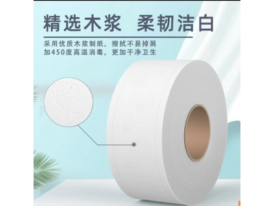佰泰 卷纸