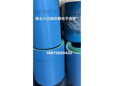 力豹  鼎业大回旋防静电平皮带