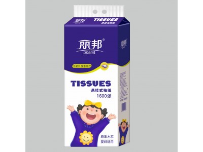 丽邦 挂式抽纸