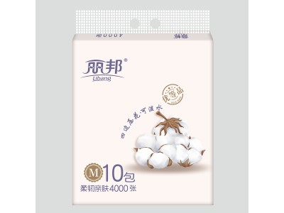 丽邦 挂式抽纸