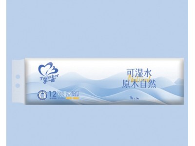 华邦 在一起可湿水卫生卷纸