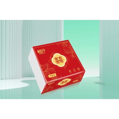 栩邦 可湿水面巾纸