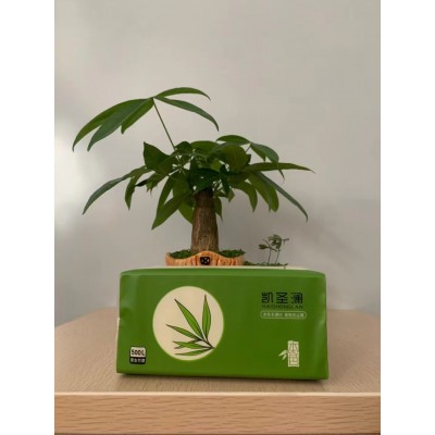 凯圣澜抽纸|保定抽纸厂家|保定抽纸批发